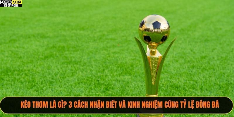 Kèo Thơm Là Gì? 3 Cách Nhận Biết Và Kinh Nghiệm Cùng Tỷ Lệ Bóng Đá 1 kèo thơm